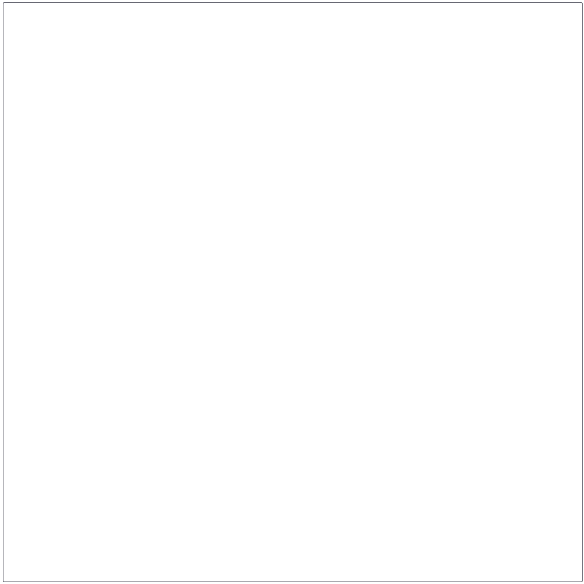 Neccar Promosyon