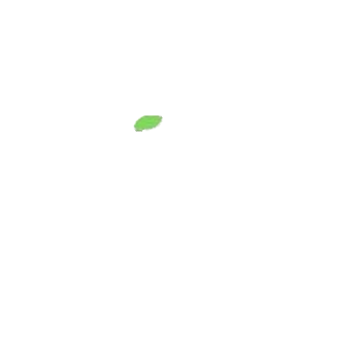 Dündar Peyzaj